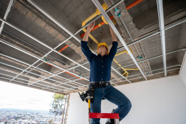 Best Emergency Plumbing Repair  in Edinburg, IL