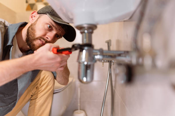 Best Toilet Repair Services  in Edinburg, IL