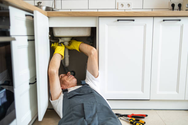Best Local Plumber Services  in Edinburg, IL