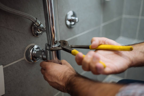 Best Same-Day Plumbing Service  in Edinburg, IL